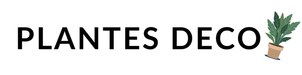 Plantes Deco